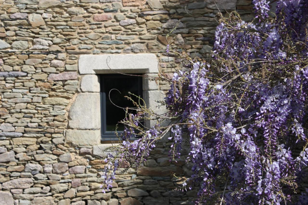 Domaine De La Prevostais Bed & Breakfast Pleucadeuc Exterior foto